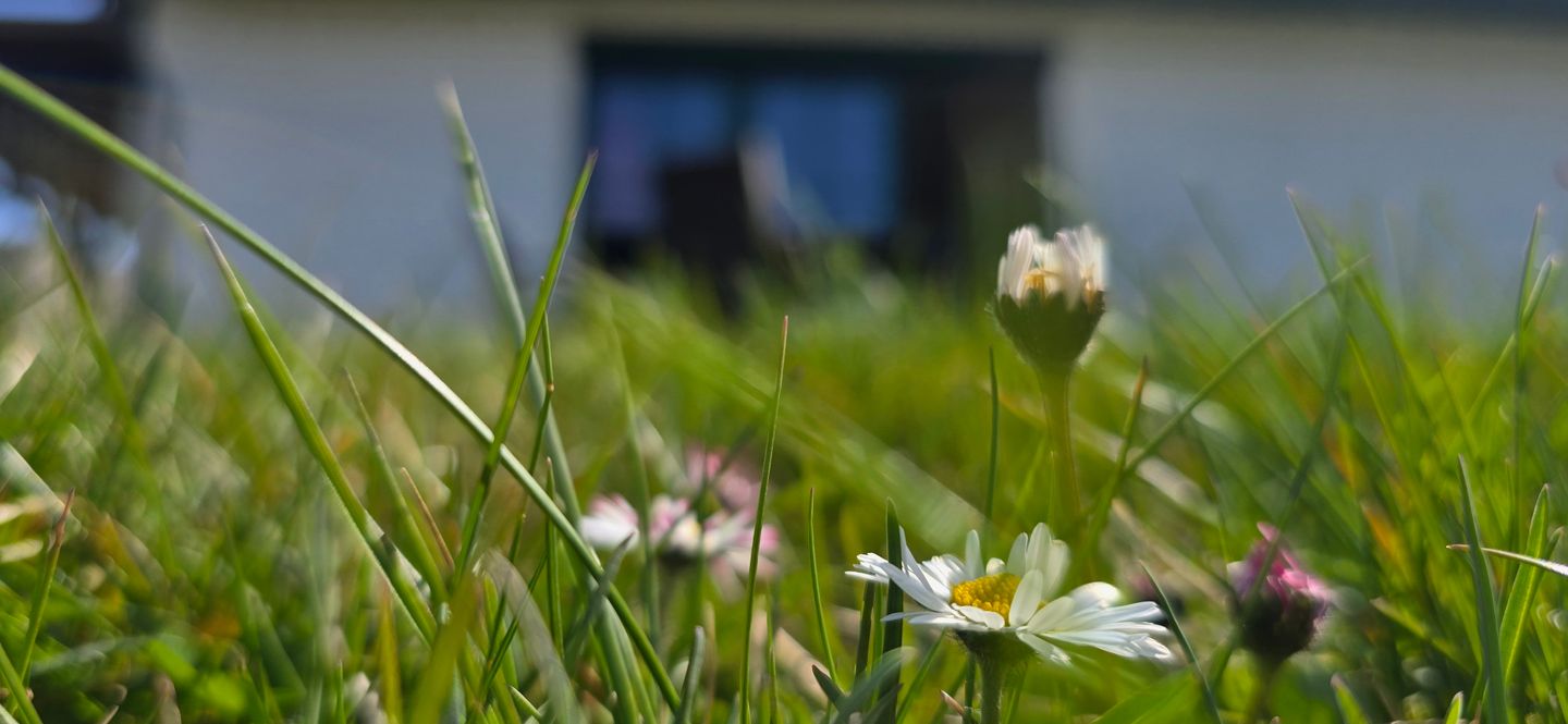  Ferienwohnung FR9 "Luise" Graal-Müritz - Terrasse