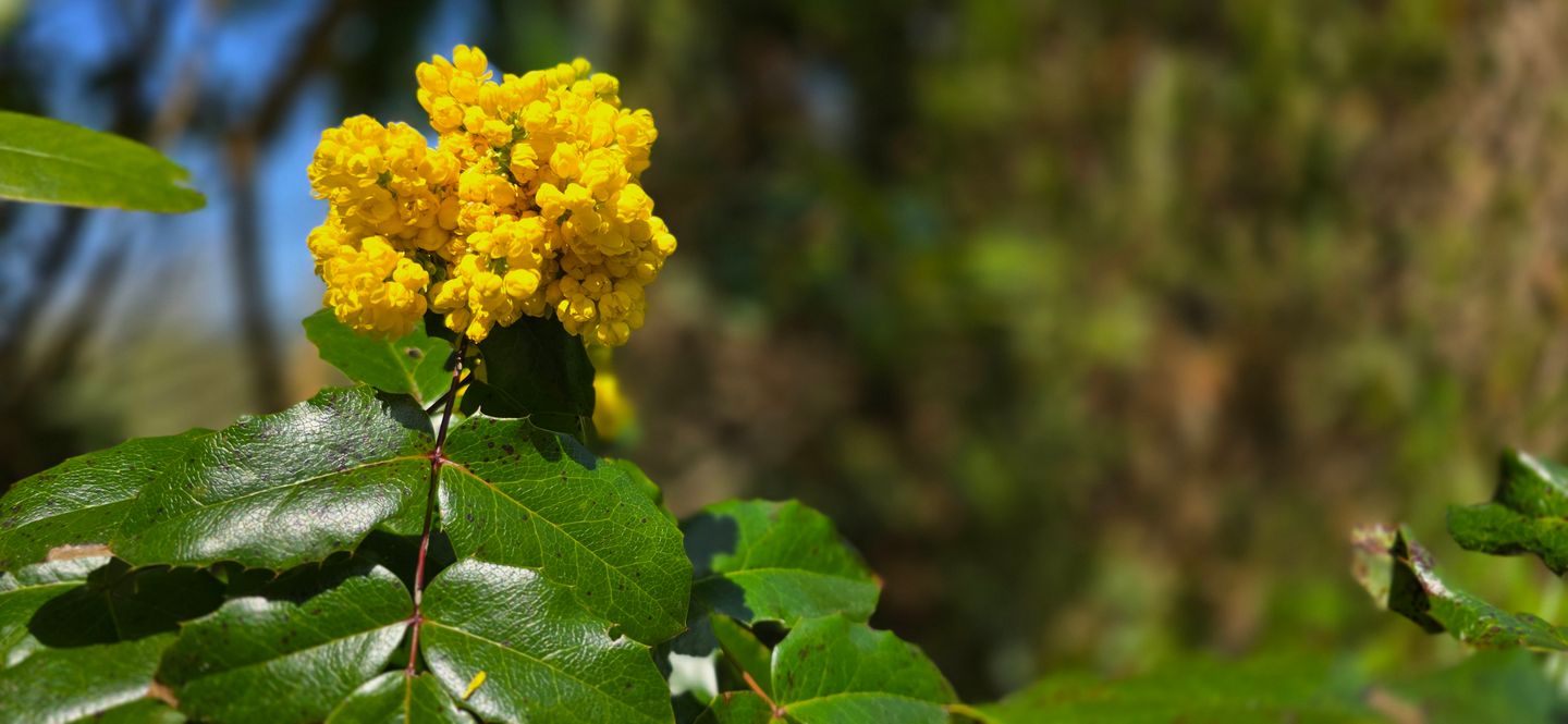  Ferienwohnung B7 Graal-Müritz - Garten