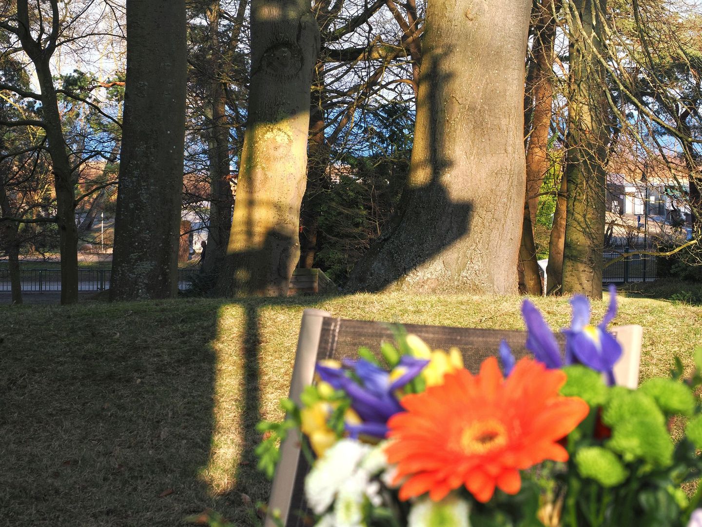 Kaiservillen Heringsdorf Ferienwohnung mit 1 Schlafzimmer und Terrasse (D102) Insel Usedom - Terrasse