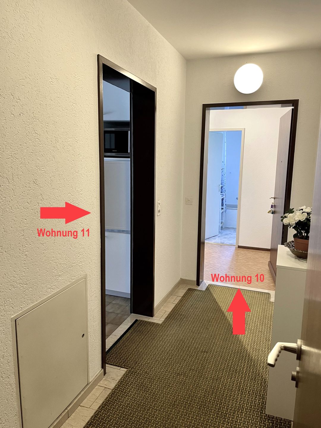 Picture 18 Picture 18