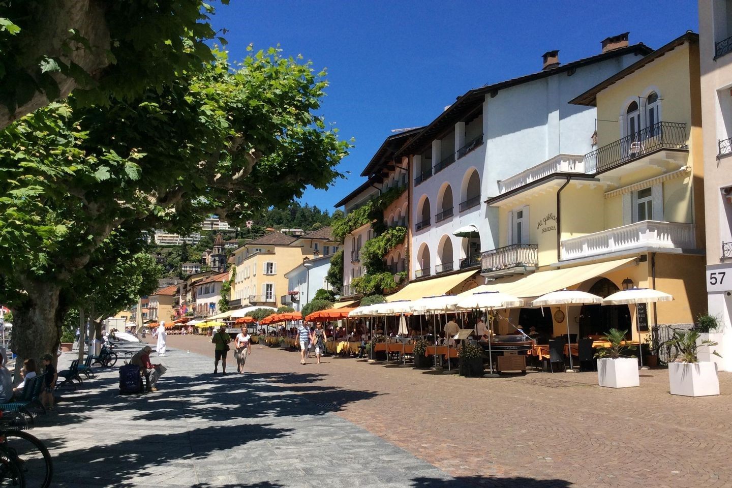 Picture 19 Picture 19