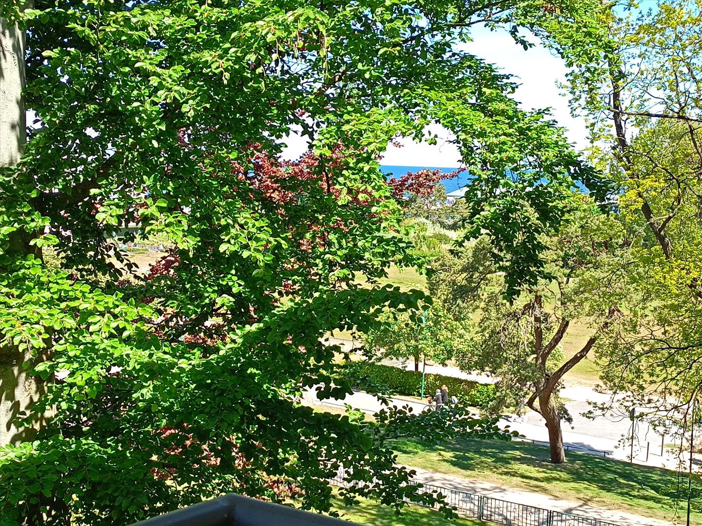 Kaiservillen Heringsdorf Ferienwohnung mit 1 Schlafzimmer und Balkon (D221) Insel Usedom - Meerblick