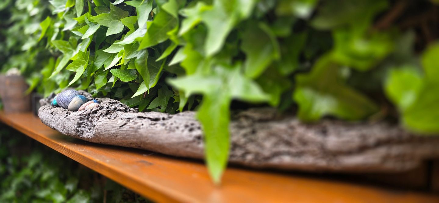  Ferienwohnung KL32 Graal-Müritz - Dekoratives Detail