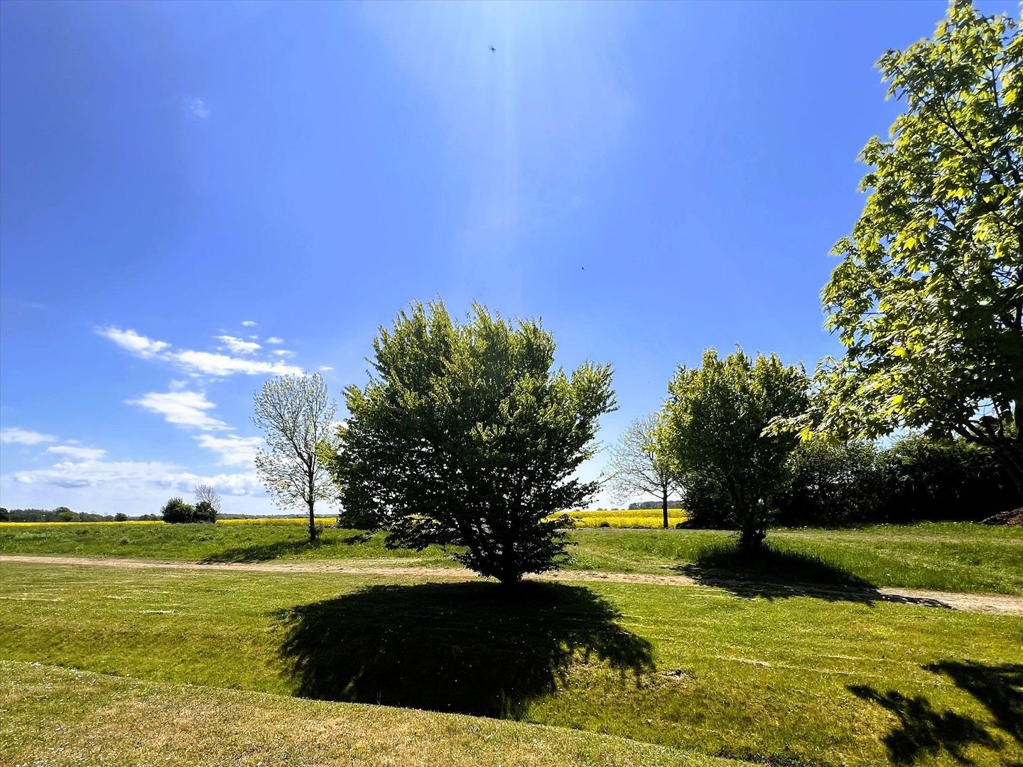 Feriendorf Rugana Komfortplus Ferienwohnung an der Feldkante mit 2 Schlafzimmern und Terrasse (D17) Insel Rügen - Gartenblick
