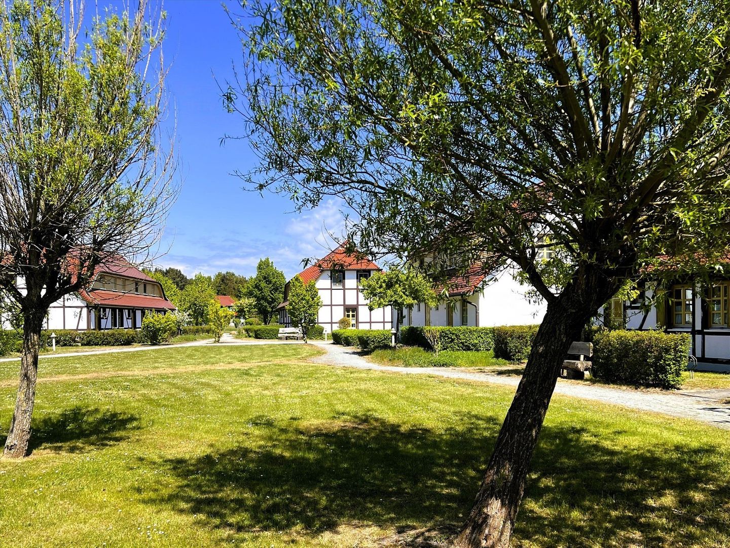 Feriendorf Rugana Komfortplus Ferienwohnung an der Feldkante mit 2 Schlafzimmern und Terrasse (D17) Insel Rügen - Gartenblick
