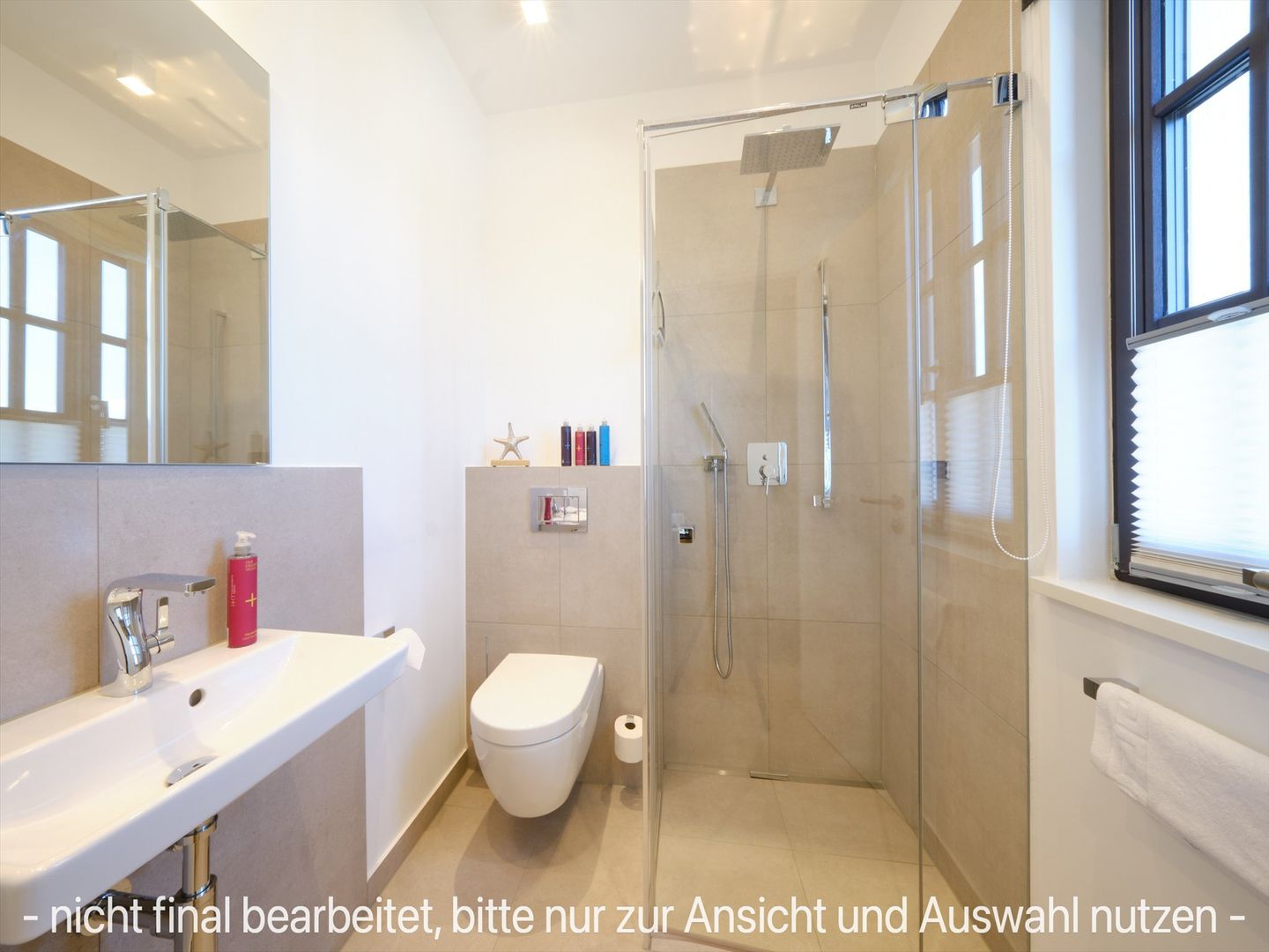 LuxusPlus Reetdachvilla mit 4 Schlafzimmern, Sauna und Kamin (G10) - 