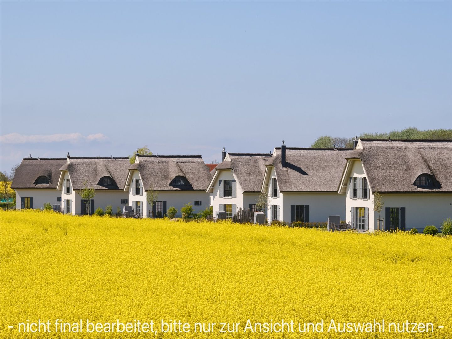 LuxusPlus Reetdachvilla mit 4 Schlafzimmern, Sauna und Kamin (G10) - Nachbarschaft