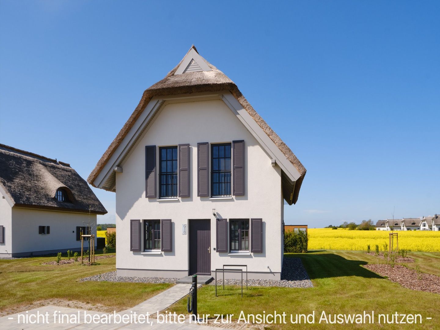 LuxusPlus Reetdachvilla mit 4 Schlafzimmern, Sauna und Kamin (G10) - Hauptansicht