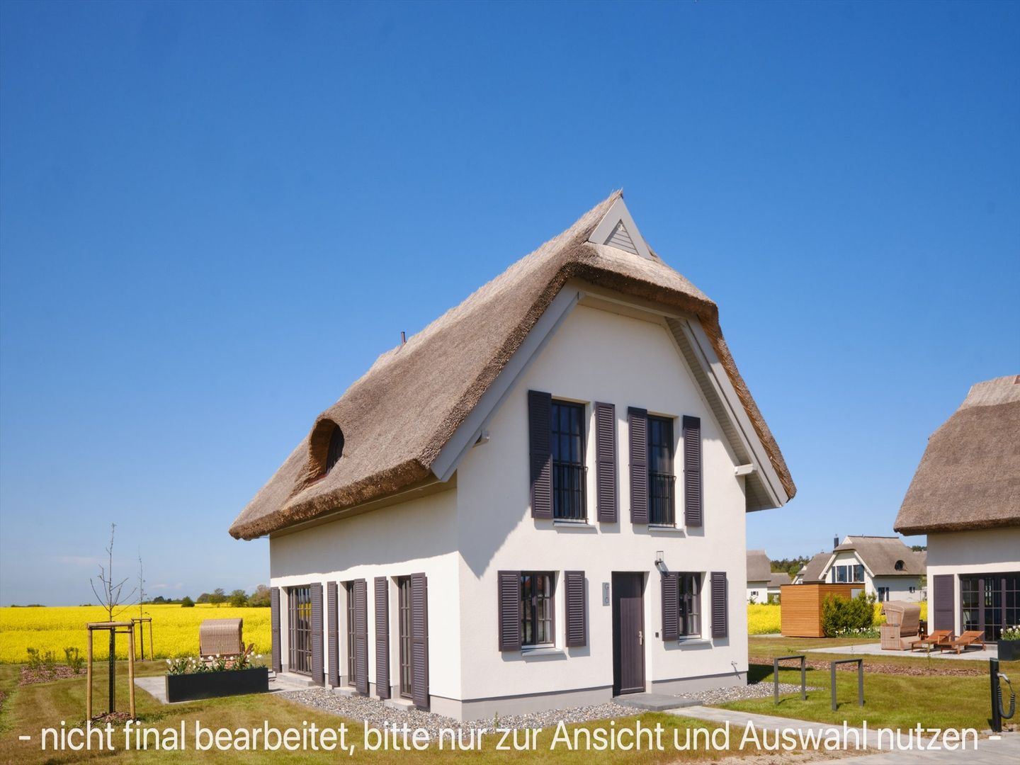 LuxusPlus Reetdachvilla mit 4 Schlafzimmern, Sauna und Kamin (G10) - Hauptansicht