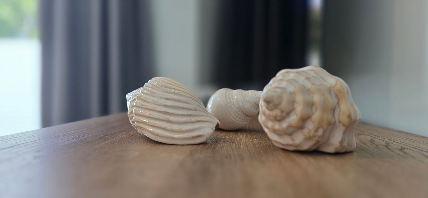  Ferienwohnung i15 - "Meeresrausch" Graal-Müritz - Dekoratives Detail