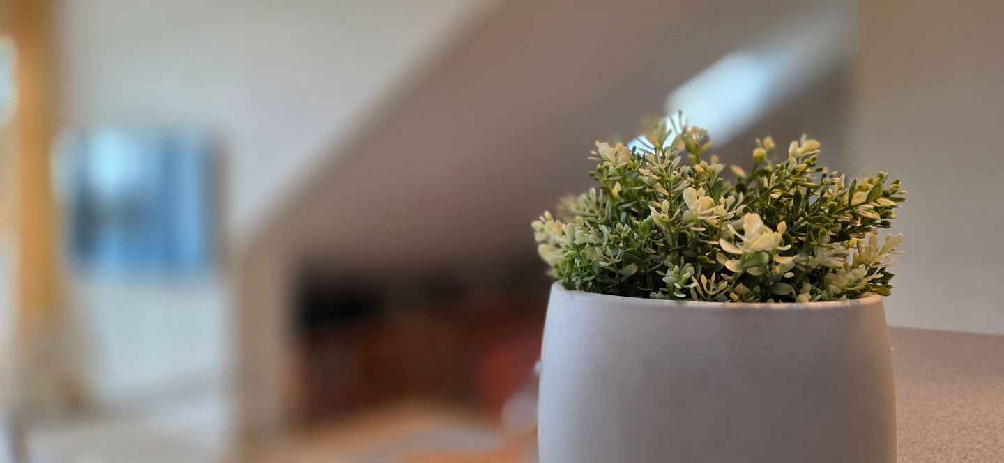  Ferienwohnung B8 Graal-Müritz - Dekoratives Detail