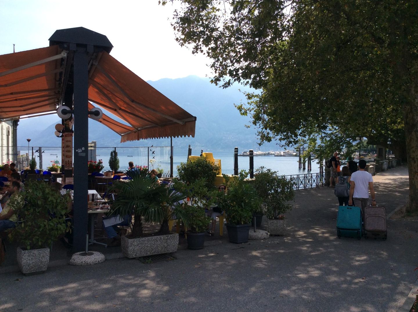 Picture 19 Picture 19