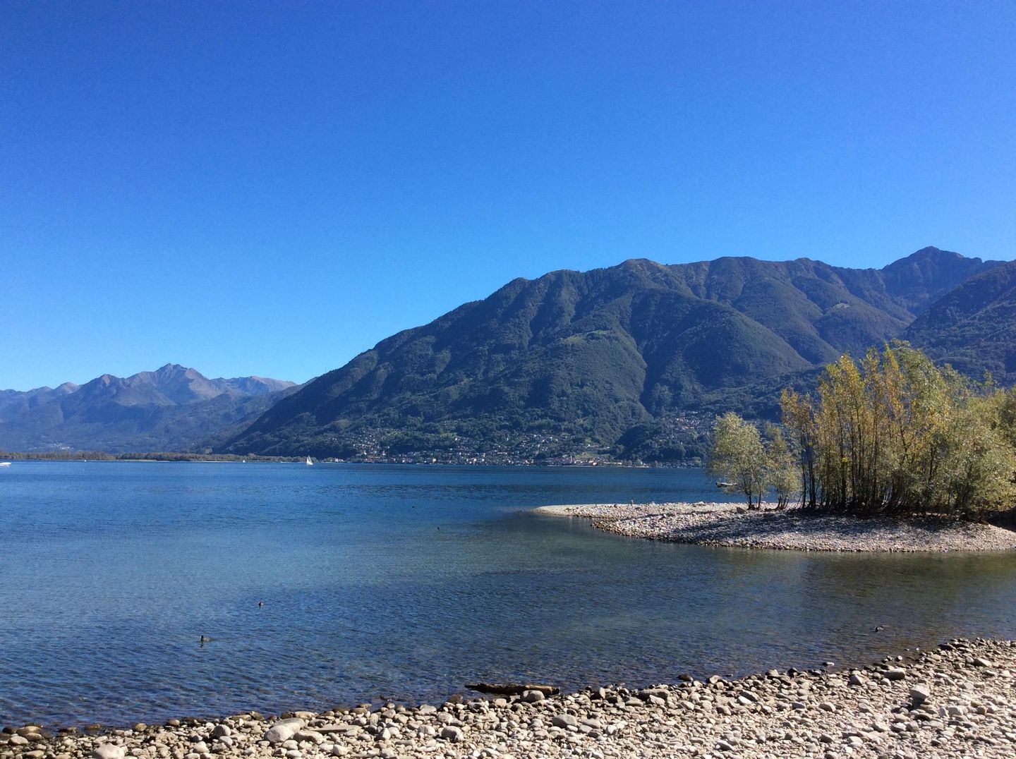 Picture 15 Picture 15