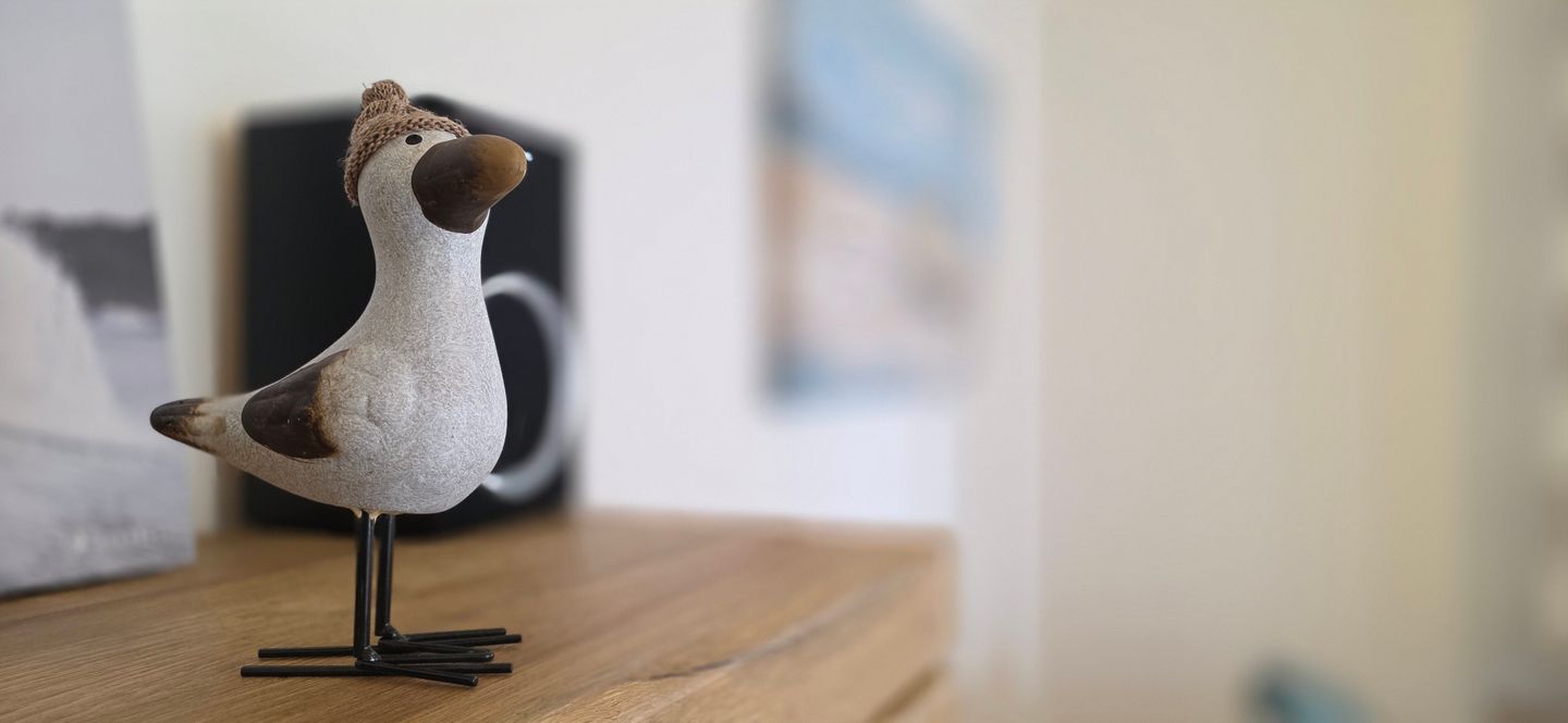  Ferienwohnung N21 Graal-Müritz - Dekoratives Detail