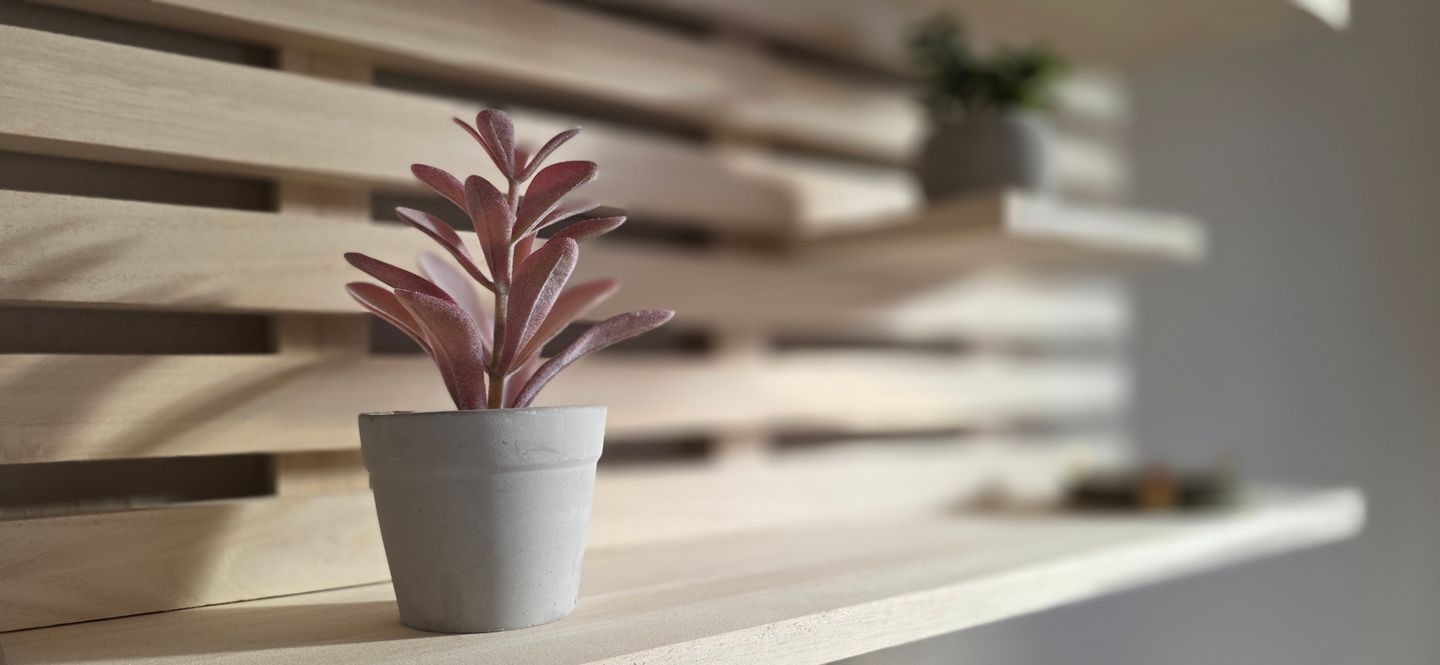  Ferienwohnung KWi 34 EG "Küstenwald-Igel" Graal-Müritz Küstenwald - Dekoratives Detail