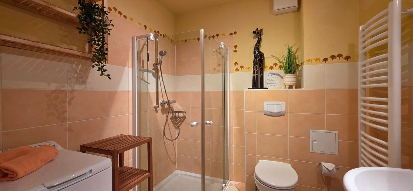  Ferienwohnung D1 Graal-Müritz - Badezimmer