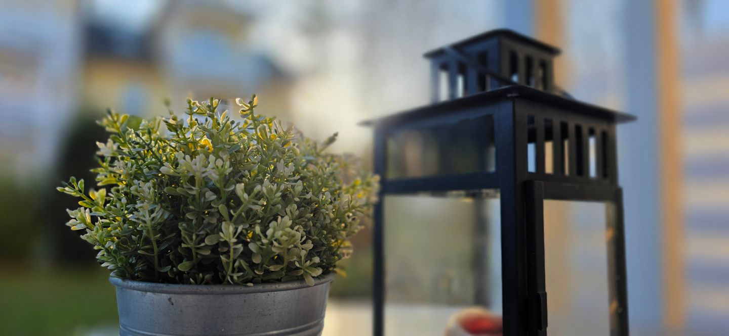  Ferienwohnung D1 Graal-Müritz - Dekoratives Detail