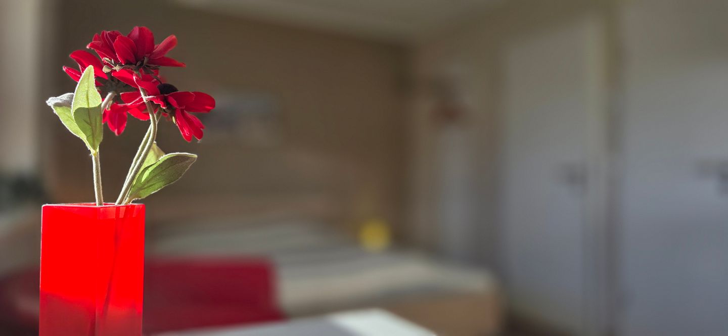  Ferienwohnung KWF3aOG Graal-Müritz Küstenwald - Dekoratives Detail