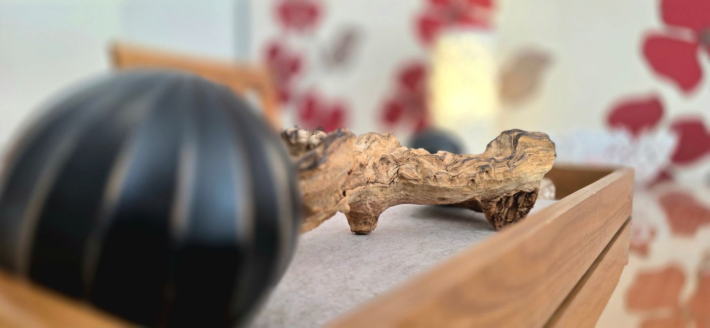  Ferienwohnung LP2 - "Kieselstein" Graal-Müritz - Dekoratives Detail