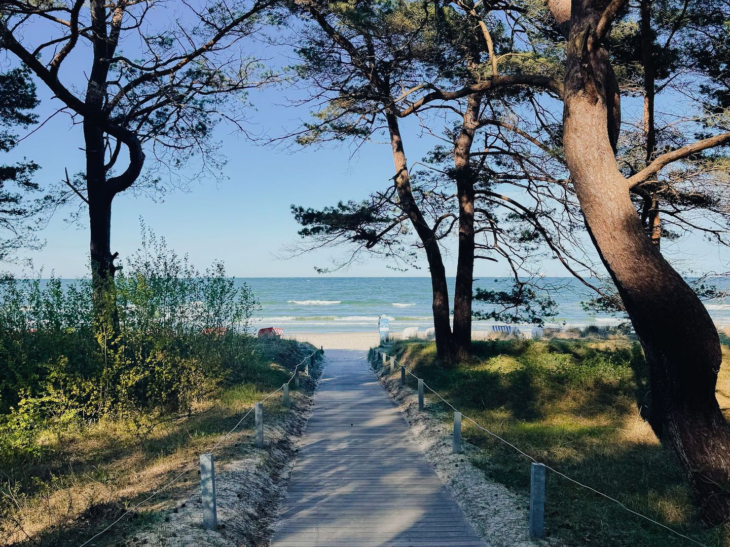 Dünenpark Binz Klassik Ferienwohnung mit 1 Schlafzimmer und Terrasse im Erdgeschoss (178) Insel Rügen - Strand