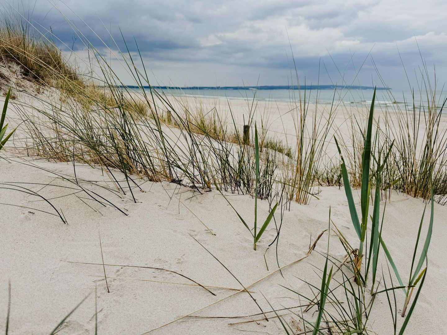 Dünenpark Binz Klassik Ferienwohnung mit 1 Schlafzimmer und Terrasse im Erdgeschoss (178) Insel Rügen - Strand