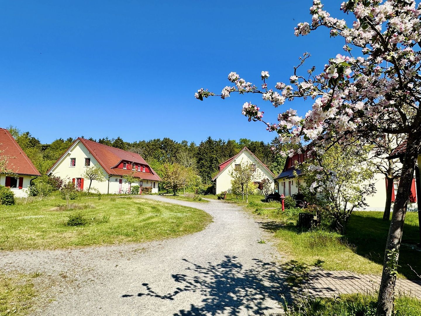 Feriendorf Rugana Komfortplus Ferienwohnung mit 1 Schlafzimmer und Terrasse (B43) Insel Rügen - Hauptansicht