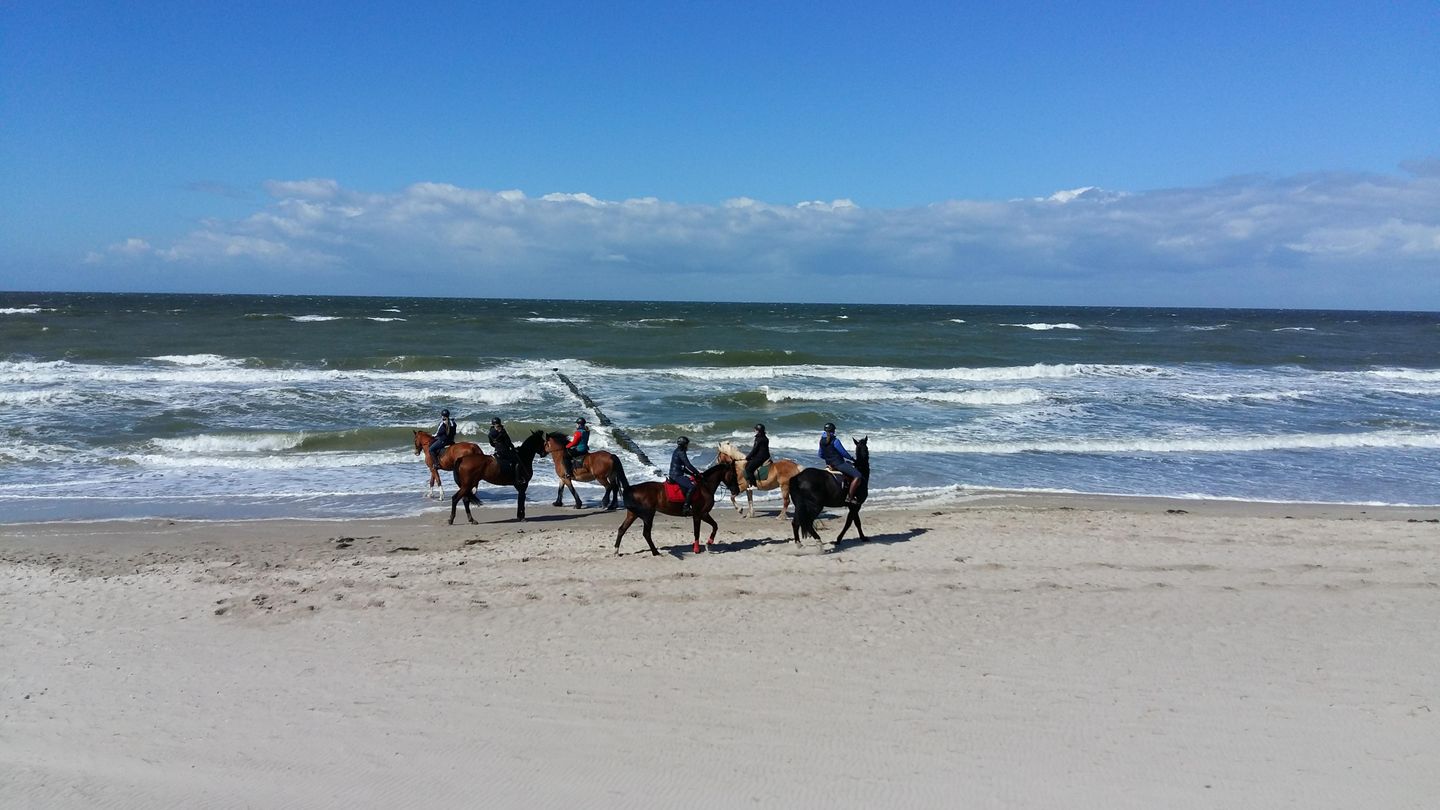  Ferienwohnung KWE 9 OG - "Glücksgriff" Graal-Müritz Küstenwald - Strand