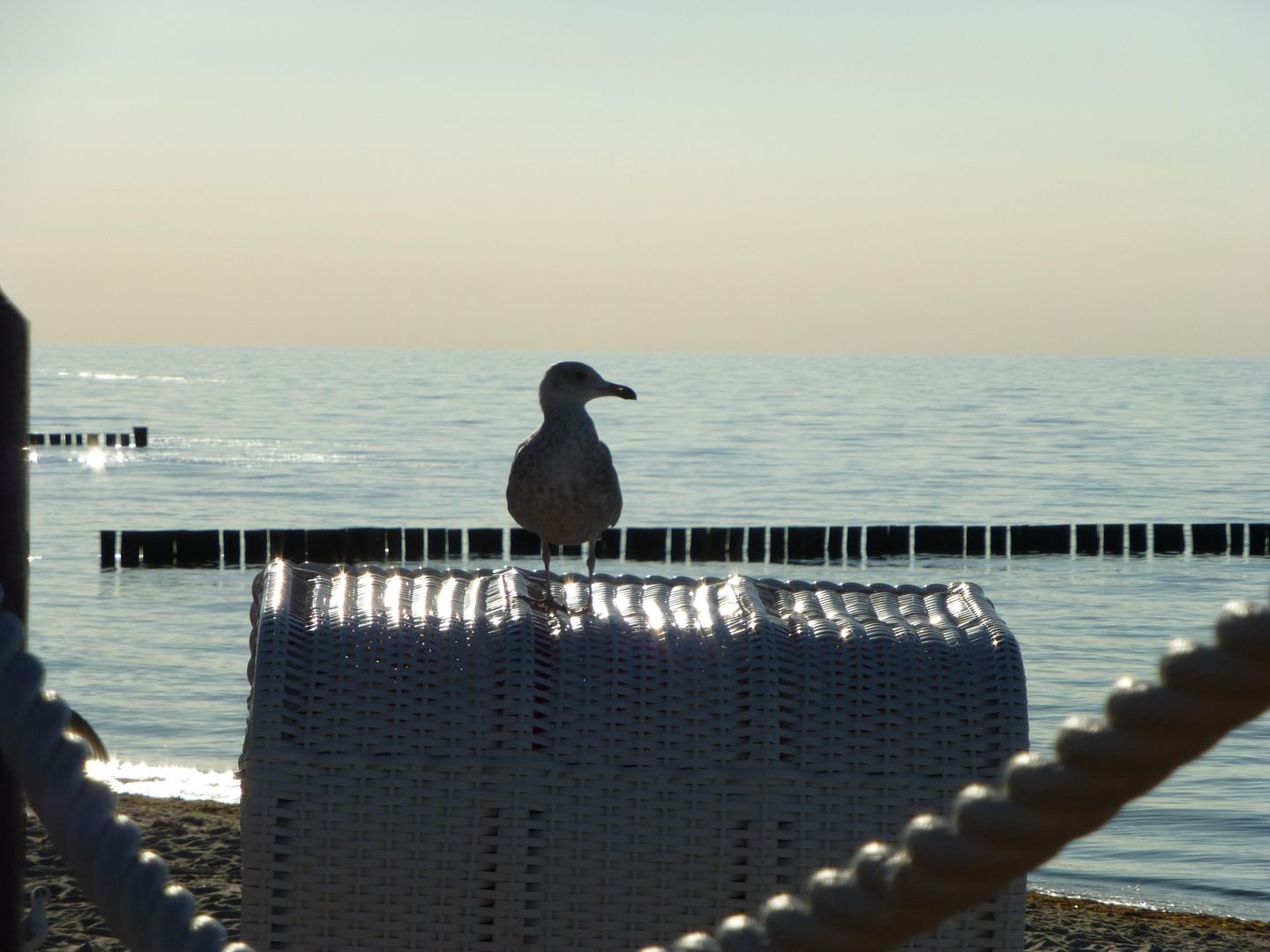  Ferienwohnung KWi 33 EG Graal-Müritz Küstenwald - Strand