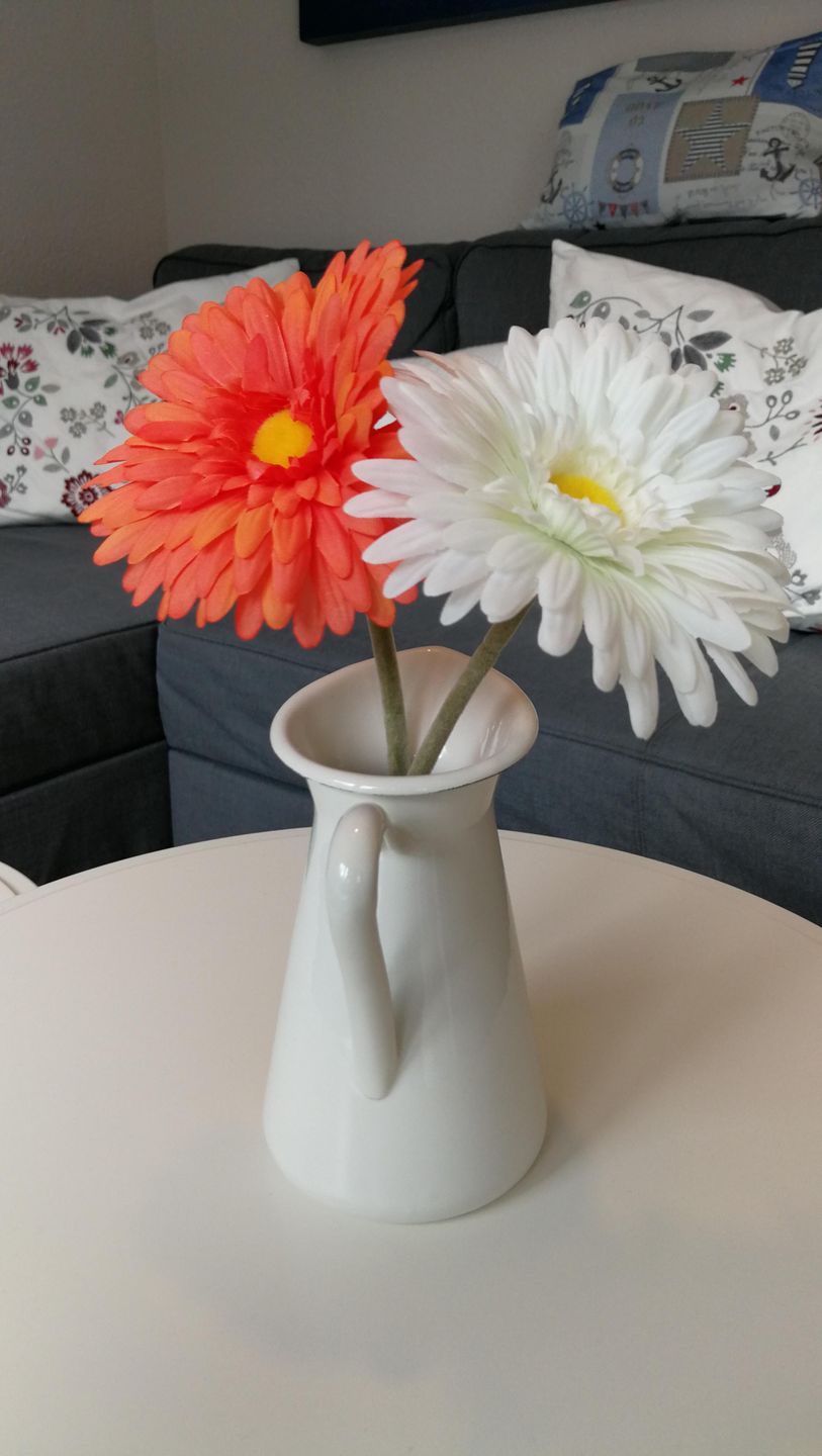  Ferienwohnung KWi 33 EG Graal-Müritz Küstenwald - Wohnzimmer