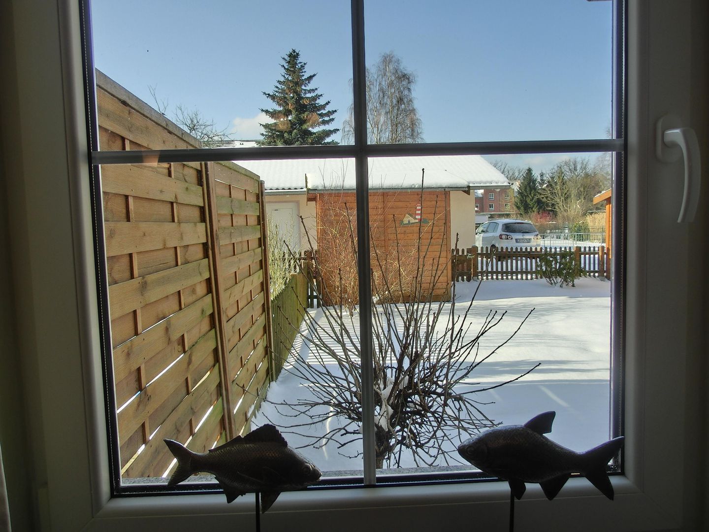  Ferienwohnung G10 Graal-Müritz - Gartenblick