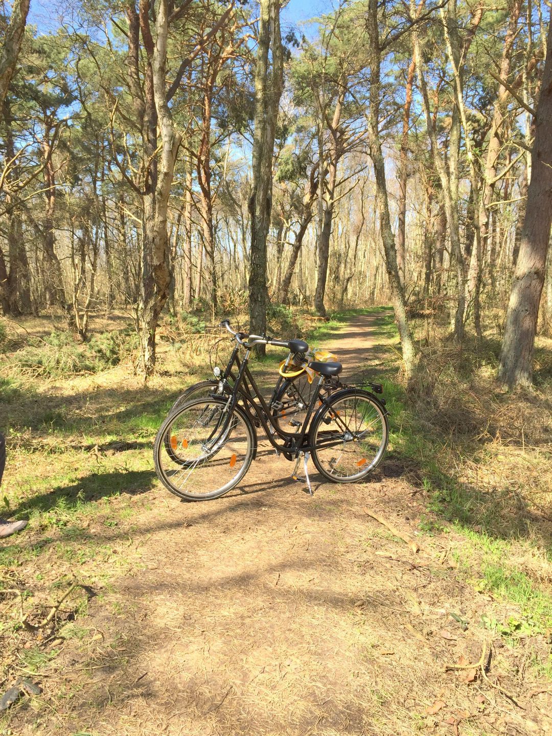  FEWO KWH 4 OG "Sonnenstübchen" Graal-Müritz Küstenwald - 