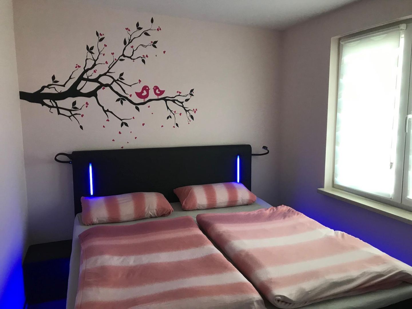  Ferienwohnung KWi 81 OG "Seehund" Graal-Müritz Küstenwald - Schlafzimmer