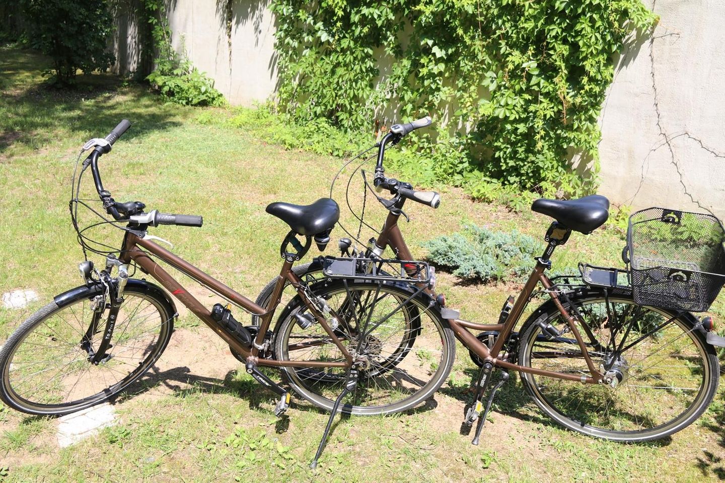  Ferienwohnung K21 "Storchennest" Graal-Müritz - Dekoratives Detail