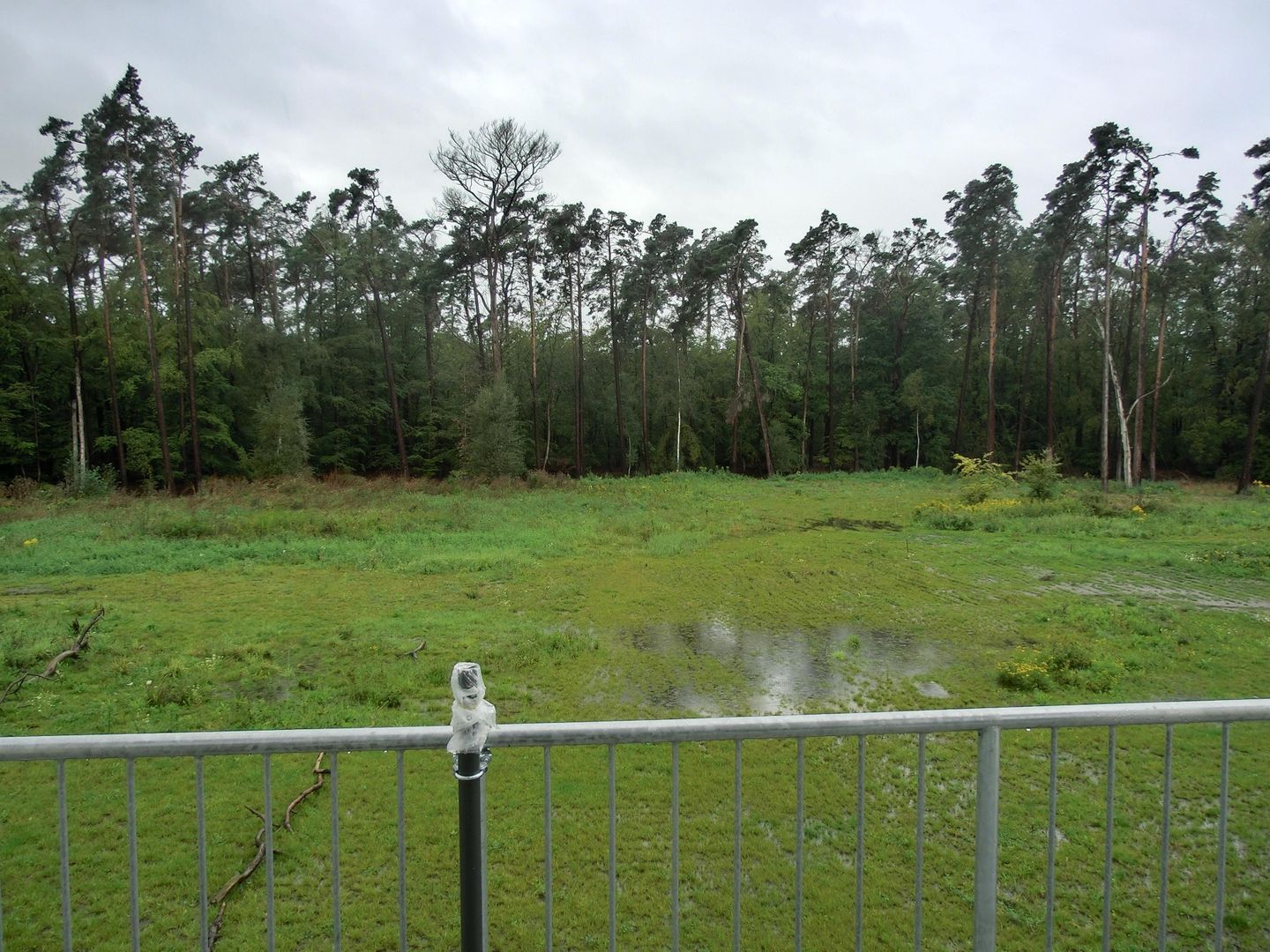  Ferienwohnung KWi 17 OG "Küsten-Koje" Graal-Müritz Küstenwald - Balkon