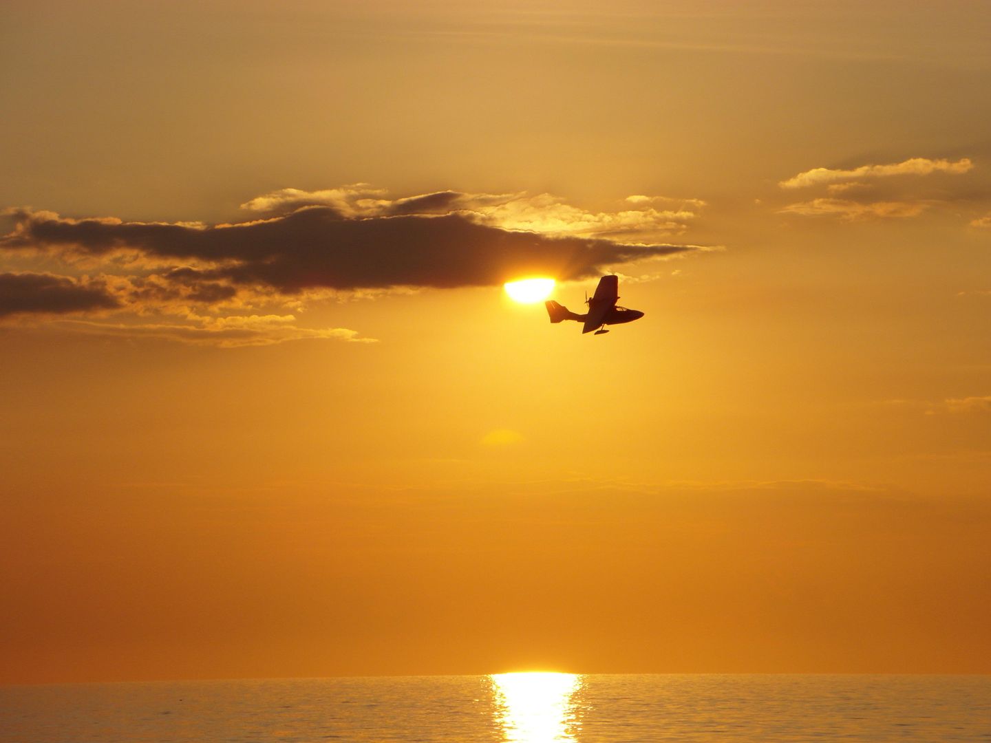  FEWO KWi 83 OG "Namenlos" Graal-Müritz Küstenwald - Strand