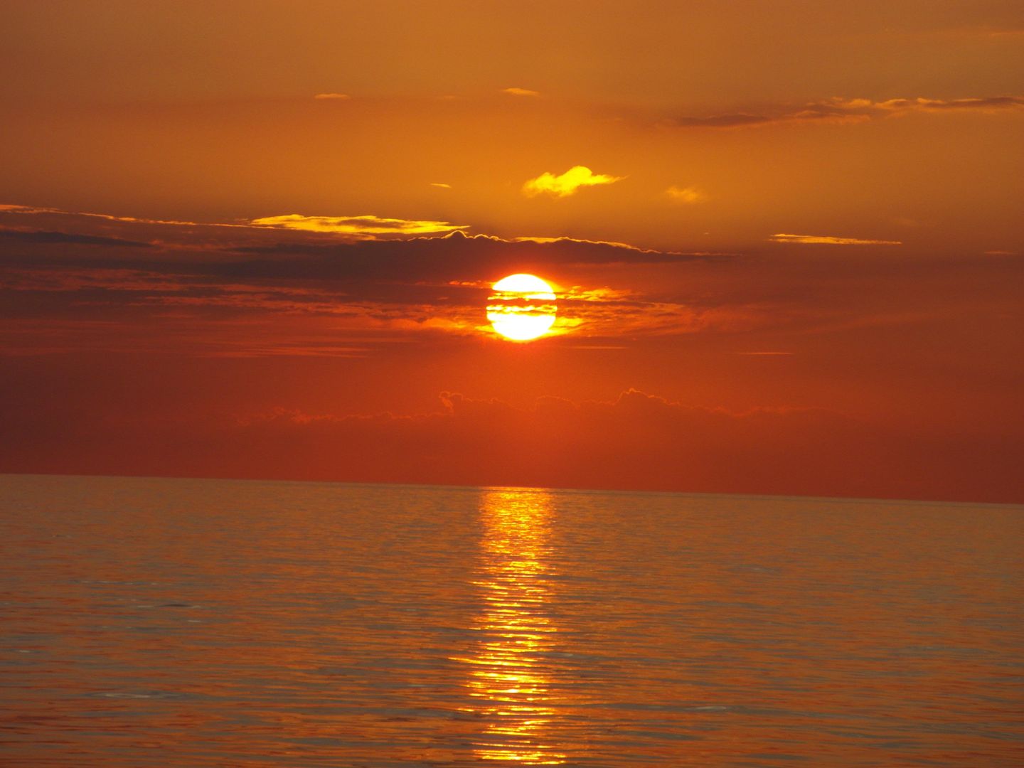 FEWO KWi 83 OG "Namenlos" Graal-Müritz Küstenwald - Strand