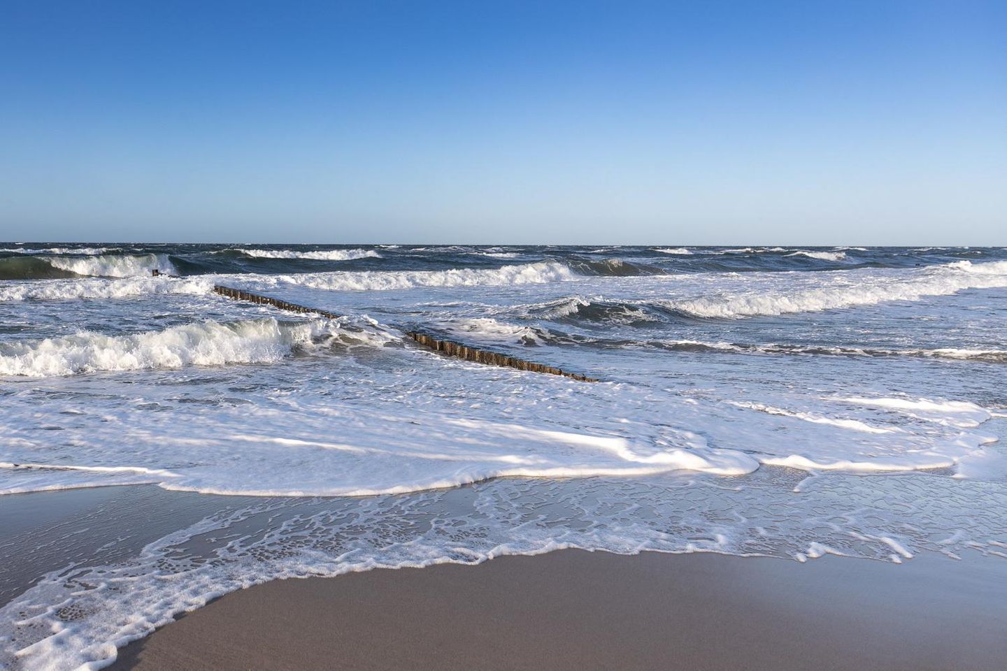  Ferienwohnung KWi 83 EG "Casa Baltico" Graal-Müritz Küstenwald - Strand
