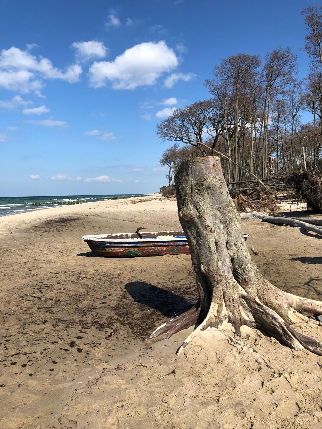  Ferienwohnung KWi 63 OG Graal-Müritz Küstenwald - Strand