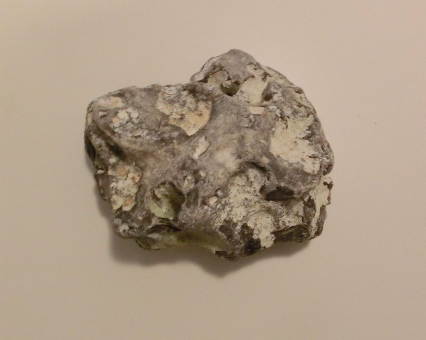  Ferienwohnung R22 Graal-Müritz - Dekoratives Detail