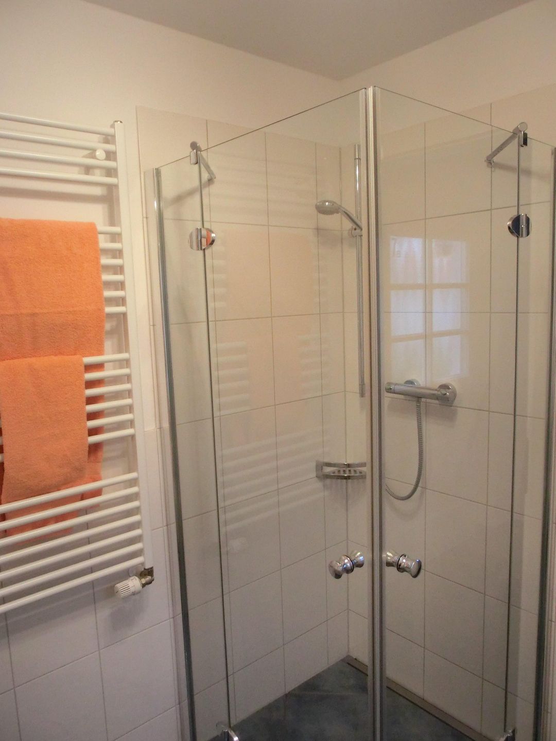  Ferienhaus FH17b Graal-Müritz - Badezimmer