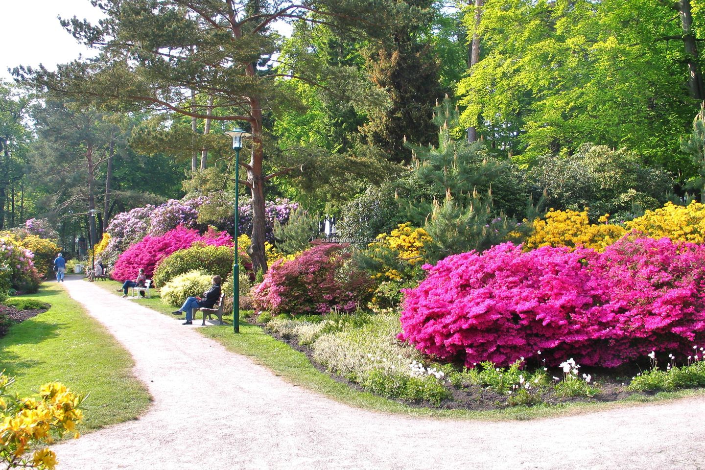  Ferienwohnung M4 "Alexandra" Graal-Müritz - Blick auf Sehenswürdigkeit