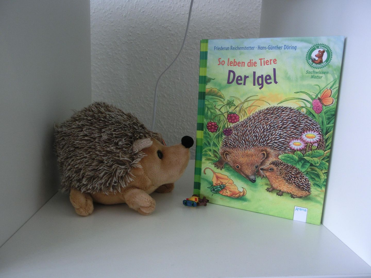  Ferienwohnung KWi 87 OG "Nordlicht" Graal-Müritz Küstenwald - Dekoratives Detail