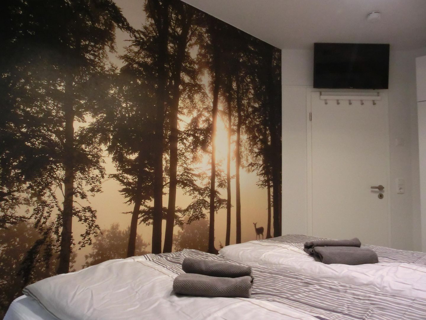  Ferienwohnung KWi 87 EG "Boompicker" Graal-Müritz Küstenwald - Schlafzimmer