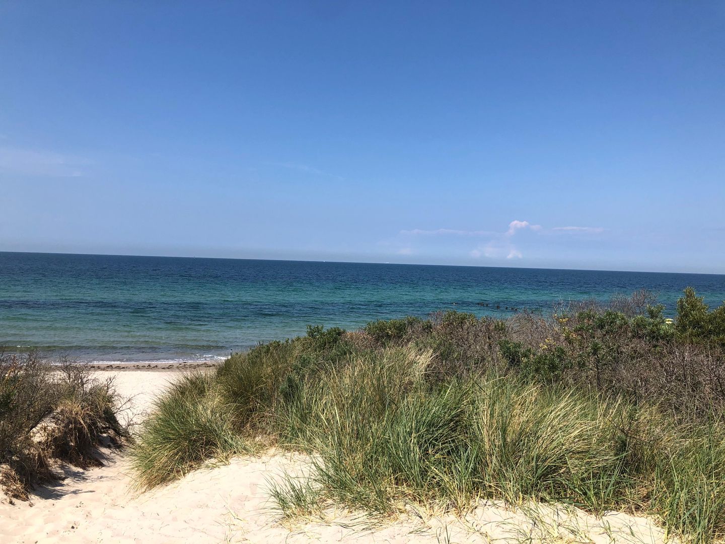  Ferienwohnung KWi 73 EG "grüne Oase" Graal-Müritz Küstenwald - Strand