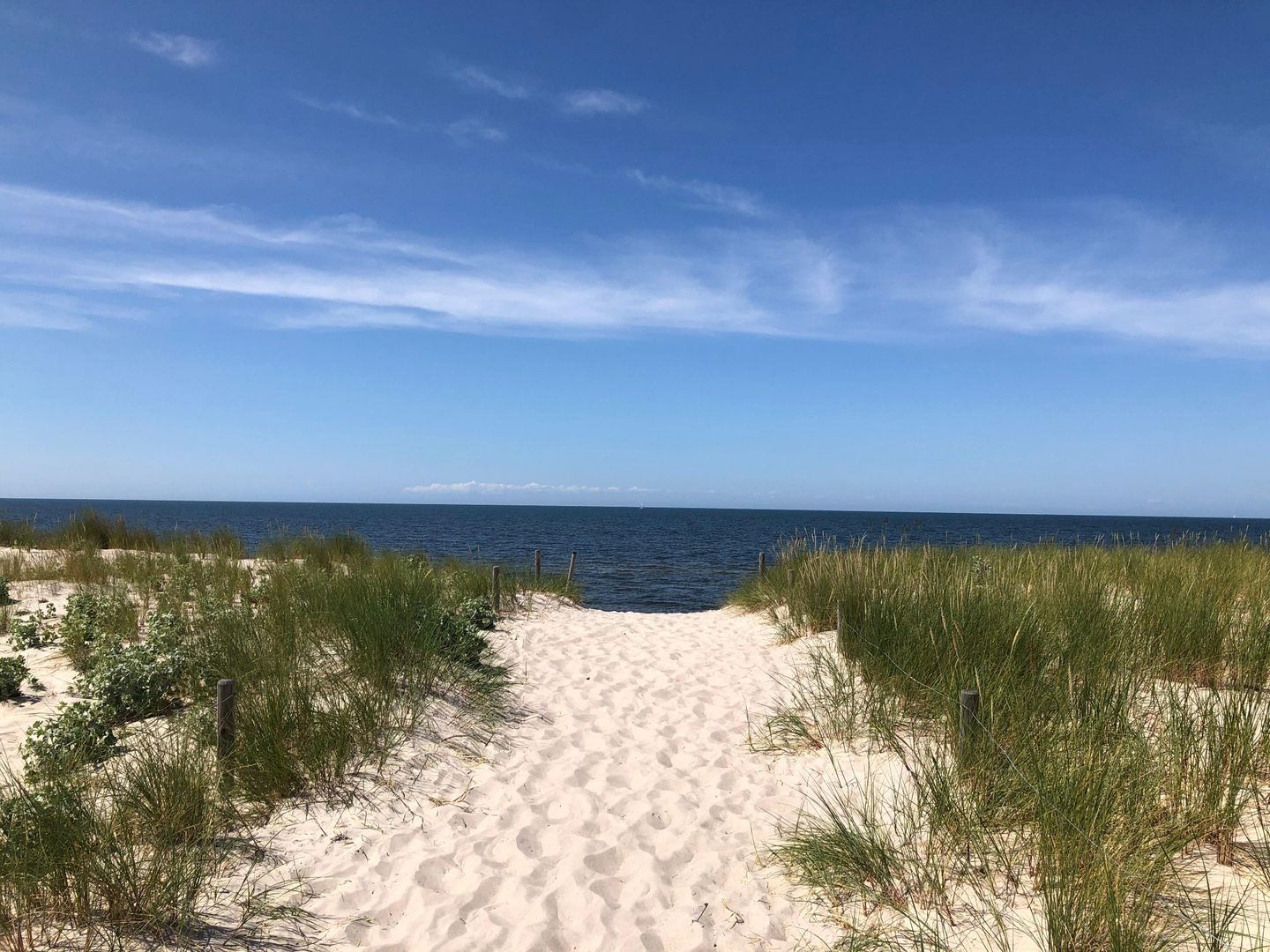  Ferienwohnung KWi 73 EG "grüne Oase" Graal-Müritz Küstenwald - Strand