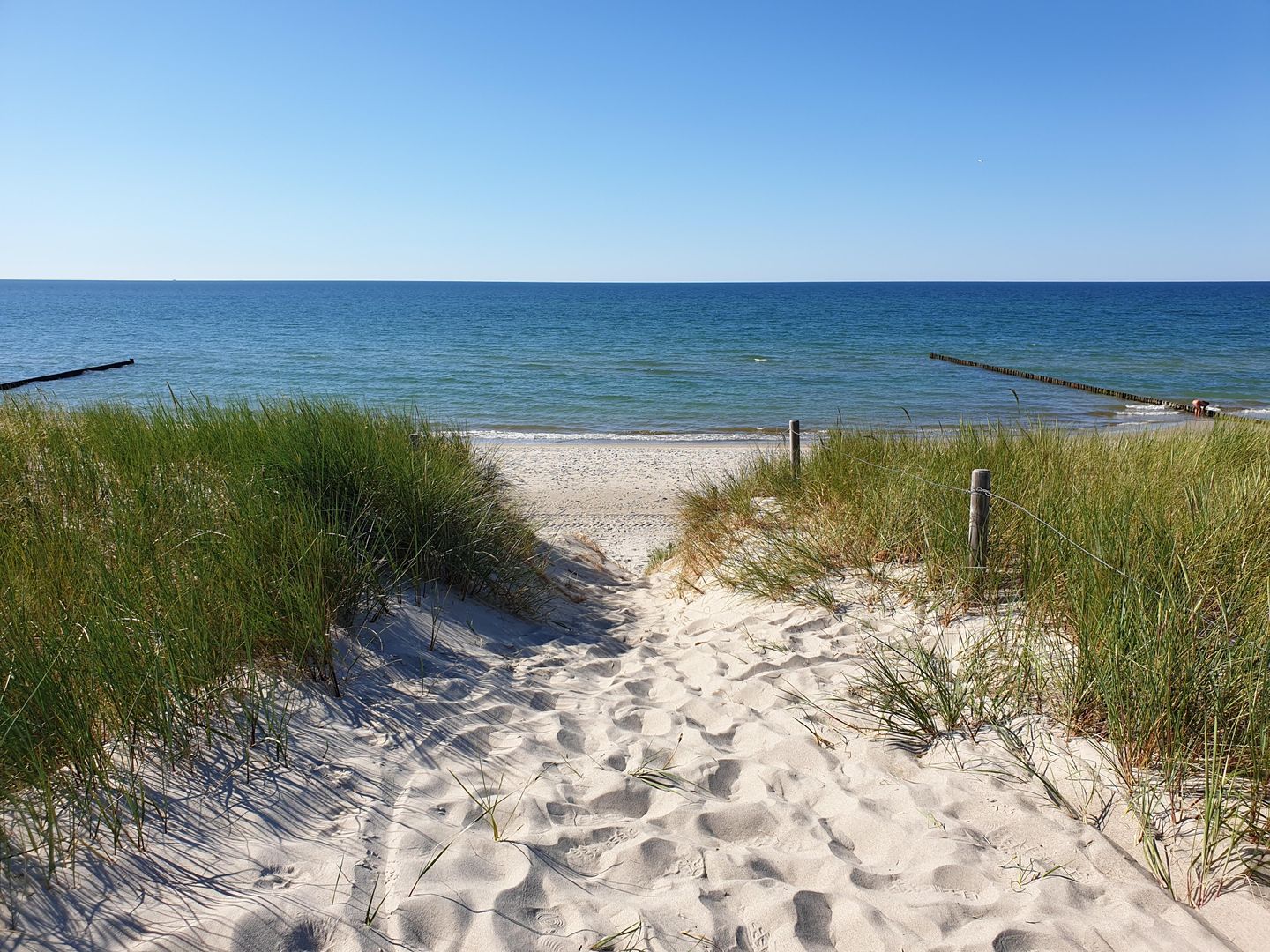  Ferienwohnung KWi 09 OG "Ostseezauber" Graal-Müritz Küstenwald - Strand