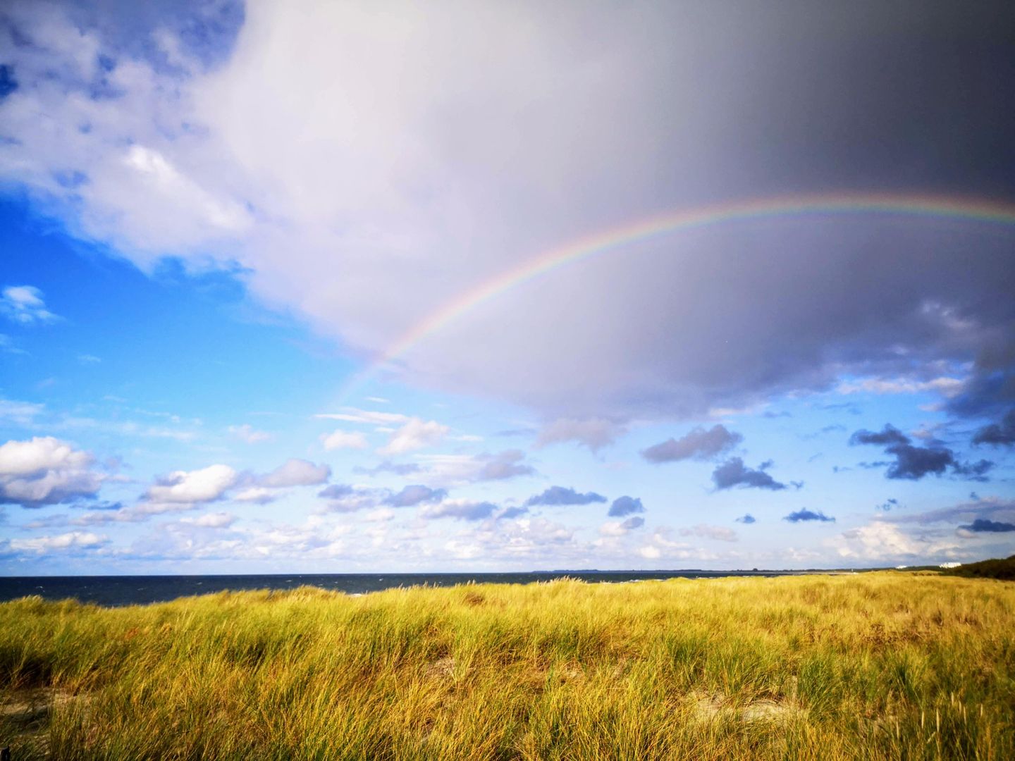  Ferienwohnung E10 Graal-Müritz - Landschaft