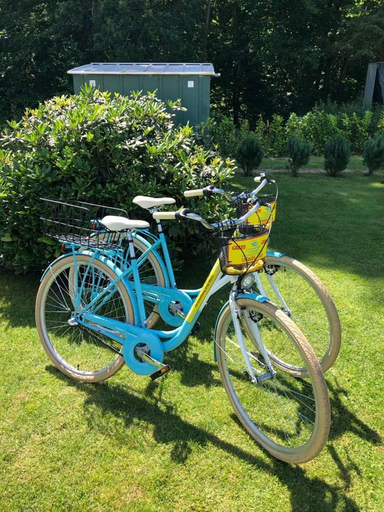  Ferienwohnung KWi 37 EG - "Ostsee Igel" Graal-Müritz Küstenwald - 