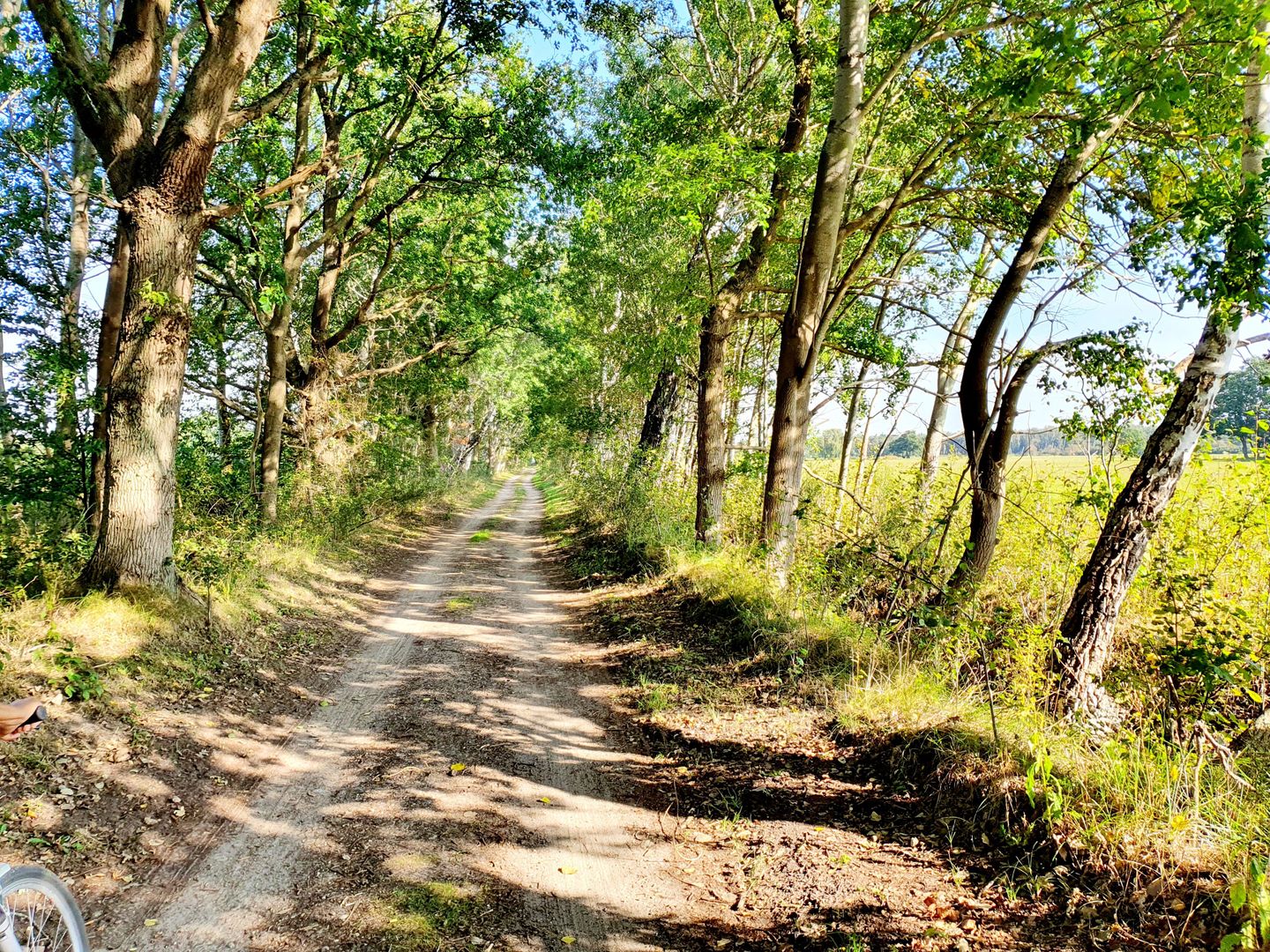  Ferienwohnung KWi 12 OG-"Sonnenschein" Graal-Müritz Küstenwald - Landschaft