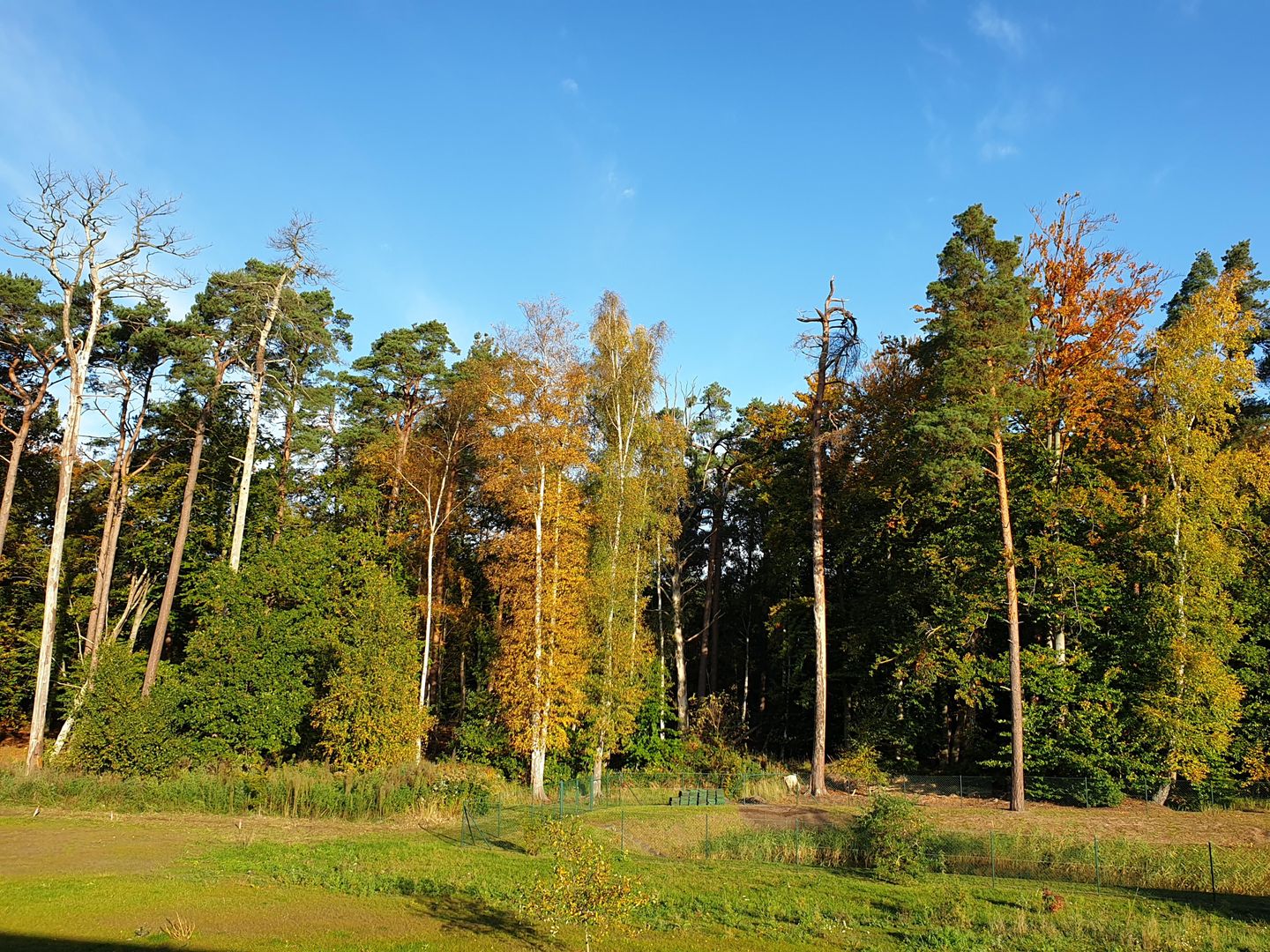  Ferienwohnung KWi 09 OG "Ostseezauber" Graal-Müritz Küstenwald - Landschaft